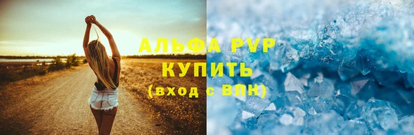 винт Новозыбков