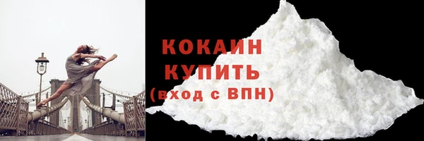 винт Новозыбков
