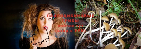дживик Нефтекумск