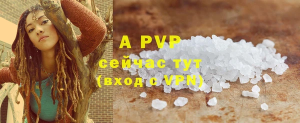 амф Новодвинск