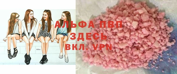 амф Новодвинск