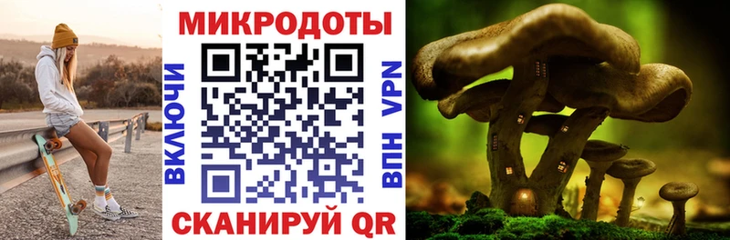 Псилоцибиновые грибы мицелий  наркота  Тарко-Сале 